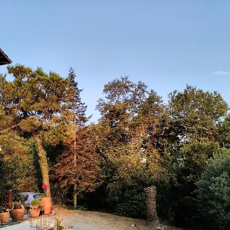 Blue Forest Apartment Vourvourou