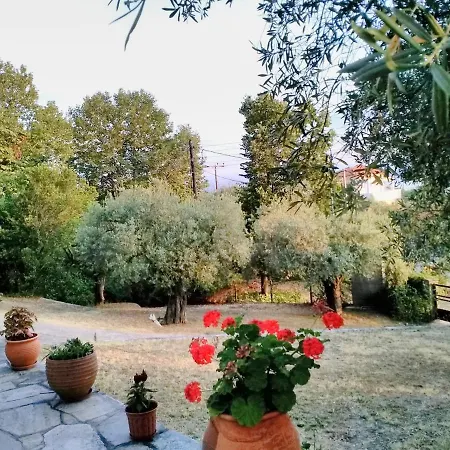 Blue Forest شقة *