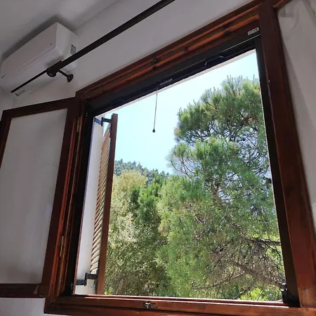 Blue Forest וורוורו