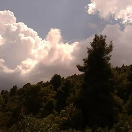 Blue Forest דירה