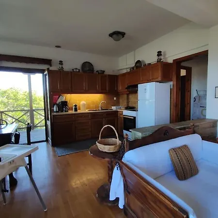 Blue Forest Apartment Vourvourou
