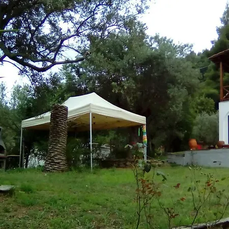 Blue Forest * וורוורו