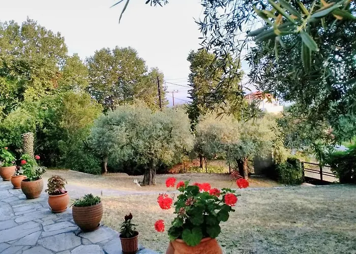 Blue Forest Appartement *