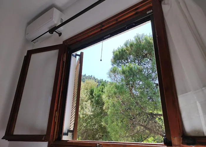 Blue Forest Vourvourou