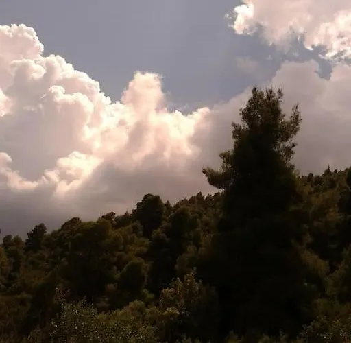 Blue Forest Appartement