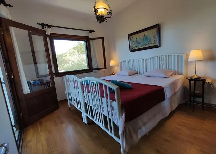 Blue Forest Appartement