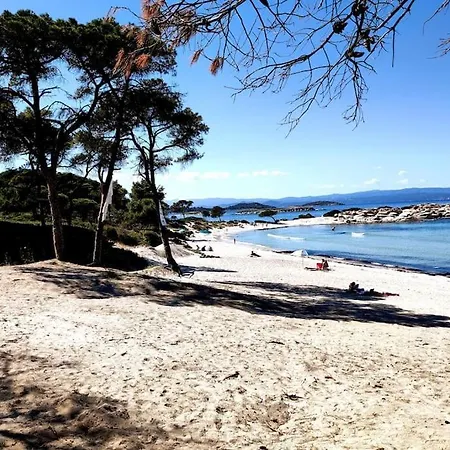 Blue Forest Διαμέρισμα Βουρβουρού